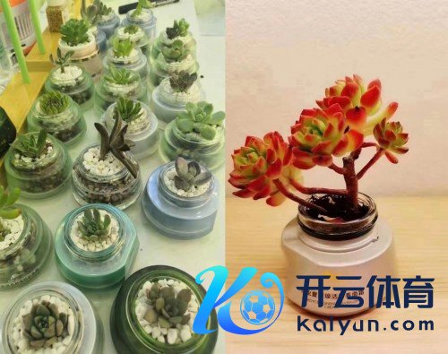 植物医师管待世界地球日 开展“空瓶好意思肤节”助力可陆续发展